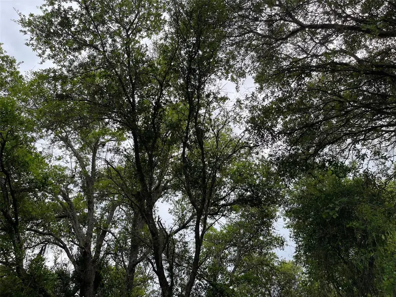 Lot 15 Ananas Rd, FL