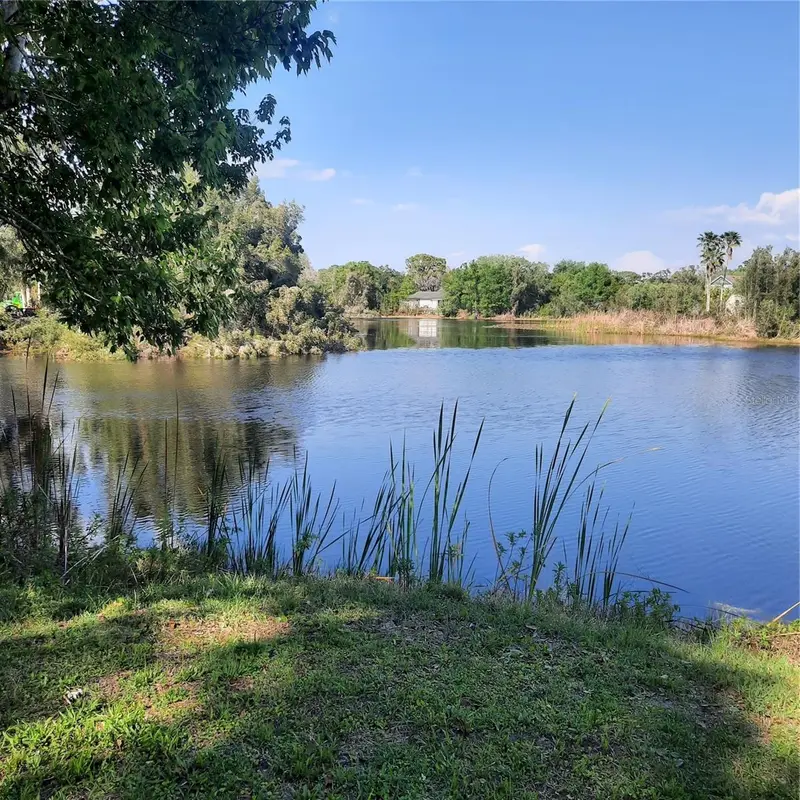10502 Hinds Pl, FL