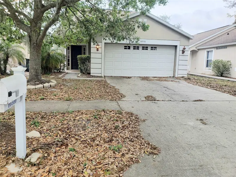 10310 Lakeside Vista Dr, FL