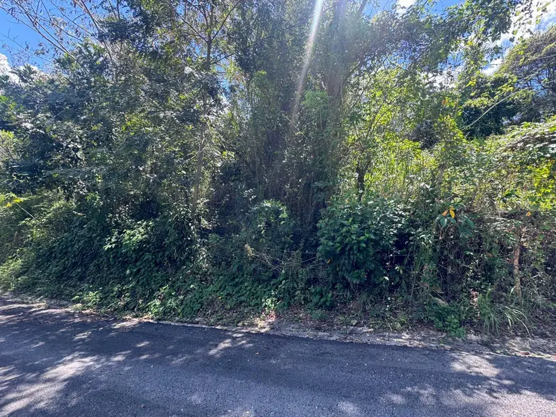 Bo. Guanajibo, PR
