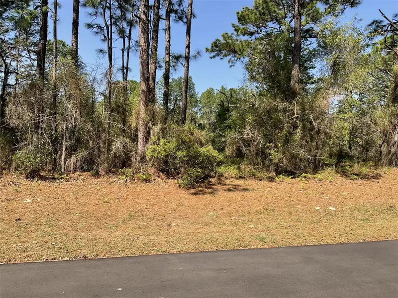 Undetermined, FL