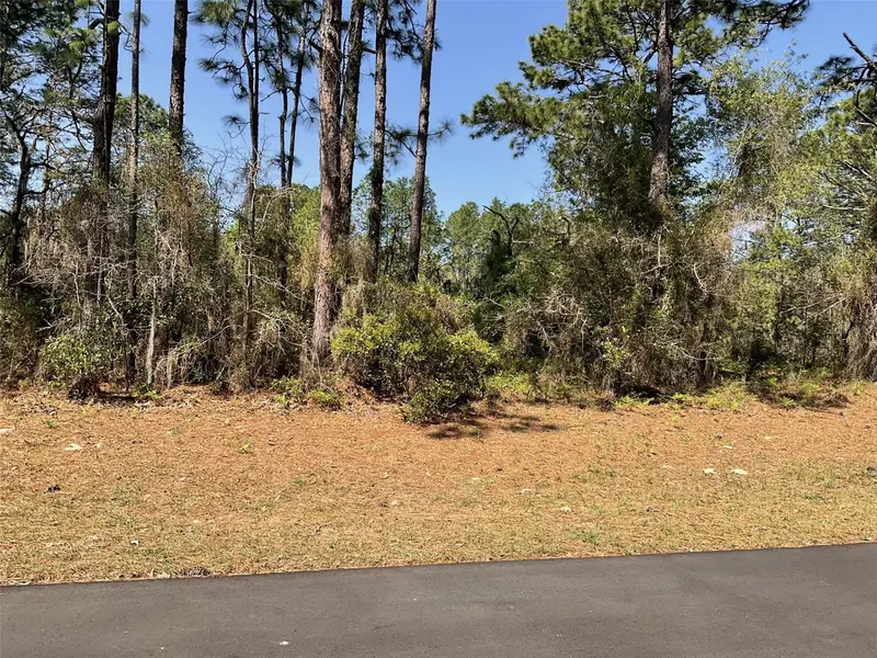 Undetermined, FL