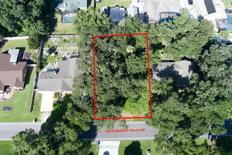 2214 Needle Palm Dr, FL