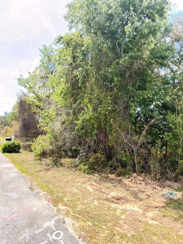 Sw 21 Ct, FL
