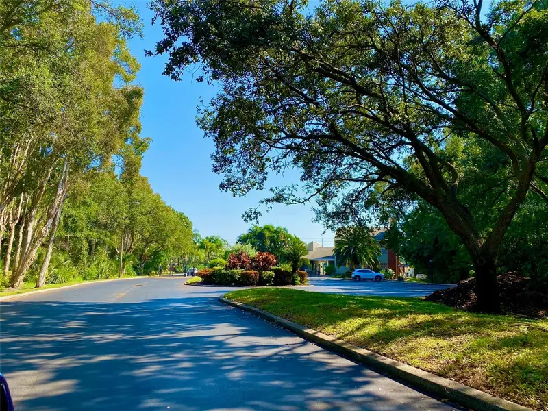 9100 Dr Martin Luther King Jr St N #1505, FL