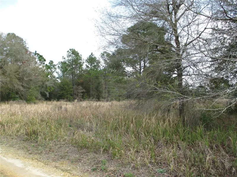 Sw 24th Pl, FL