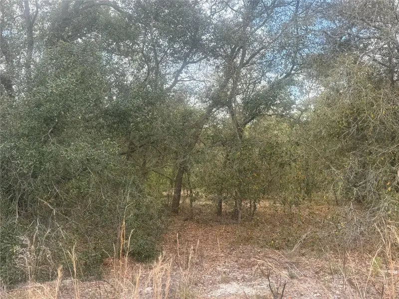 Tbd Se 131st Ter, FL
