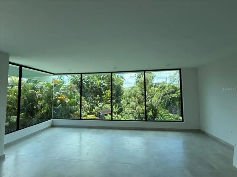 1704 Crisantemo, PR
