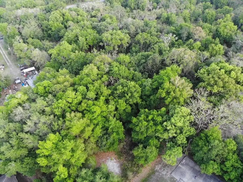 2156 Old Hickory Tree Rd, FL