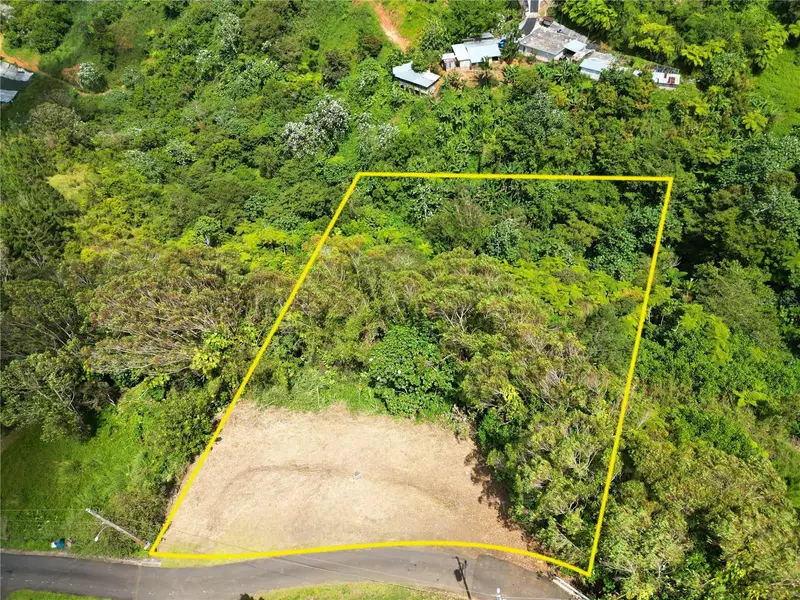 St. 809 Cedro Arriba Sector Santa Teresita Ii #2, PR