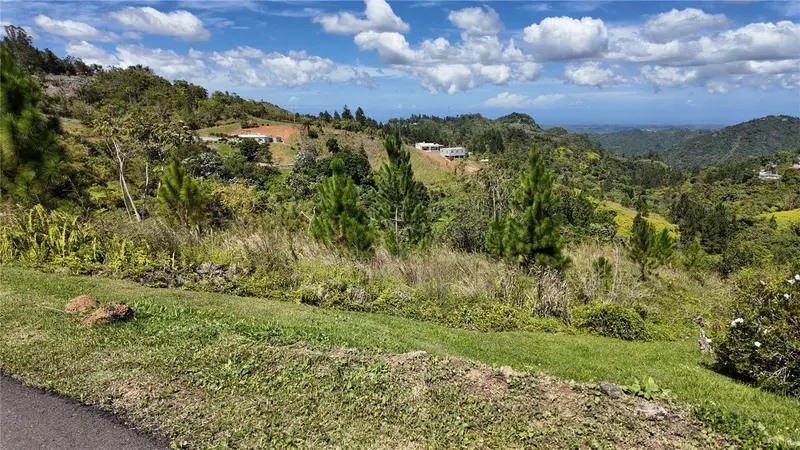 Carr 155 Km 33.1 Int Bo. Gato, PR