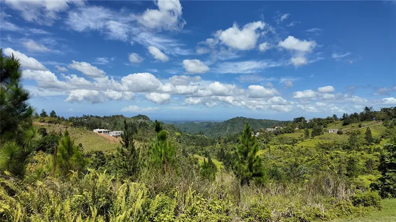 Carr 155 Km 33.1 Int Bo. Gato, PR