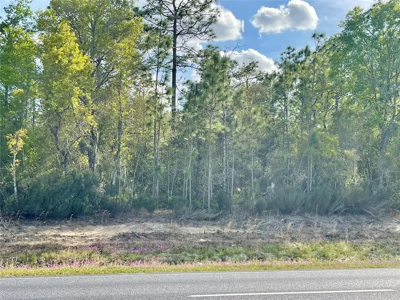 Tbd Ne Highway 27 Alt, FL