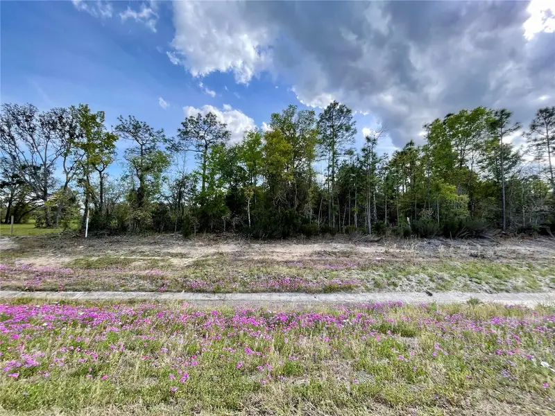 Tbd Ne Highway 27 Alt, FL