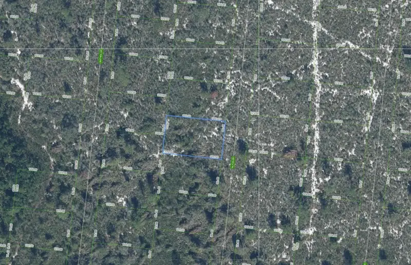 Sebring, Fl, FL