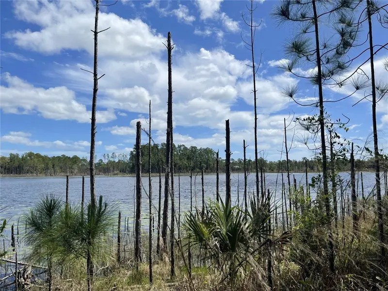 Sheryl Dr, FL