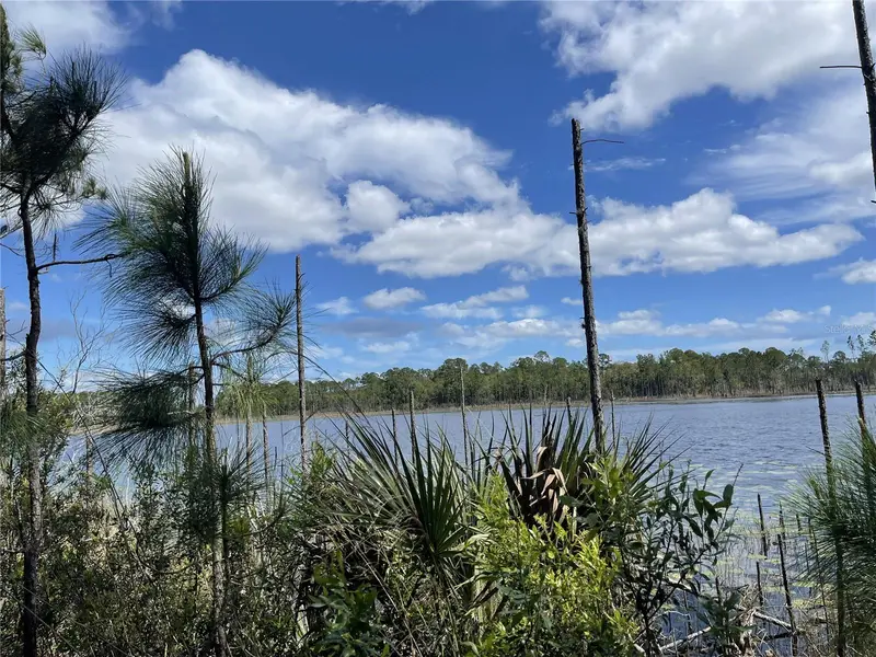 Sheryl Dr, FL
