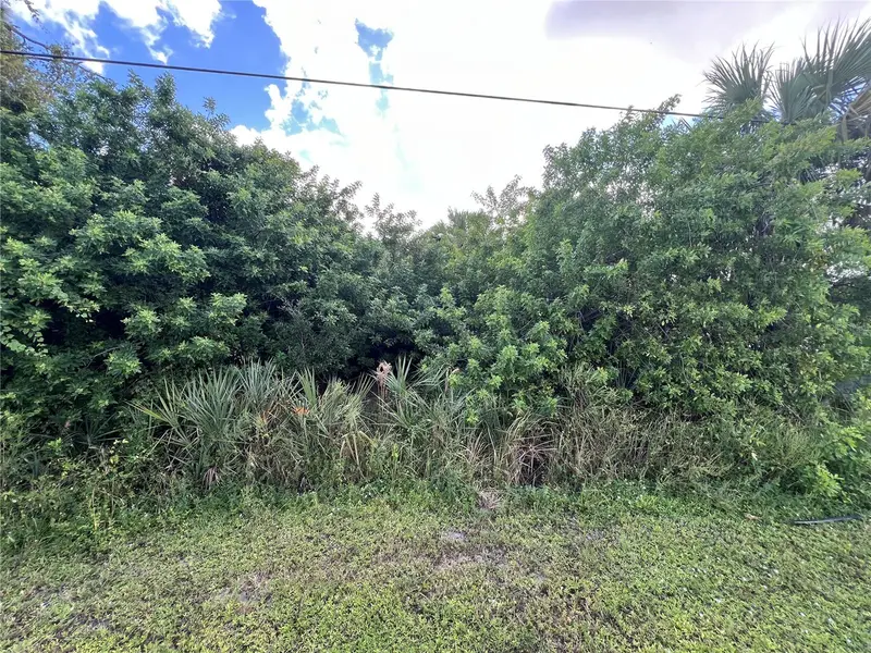 Raywood Ave, FL