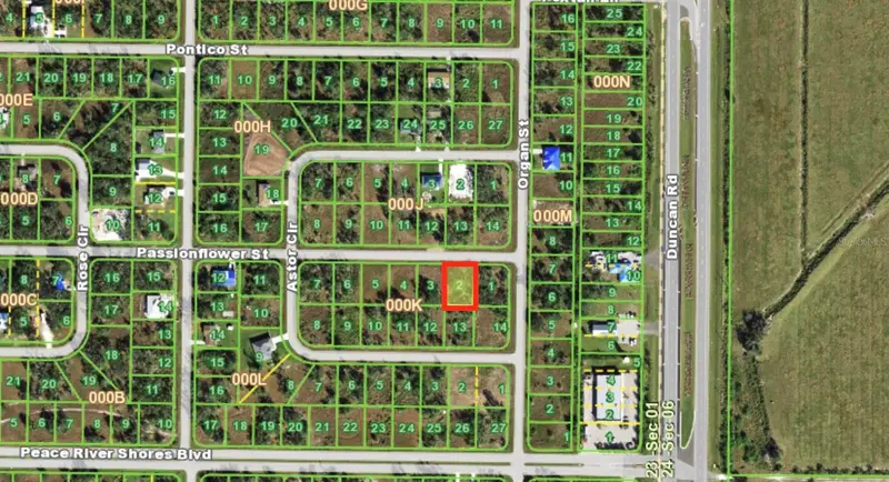 29473 Passion Flower St, FL