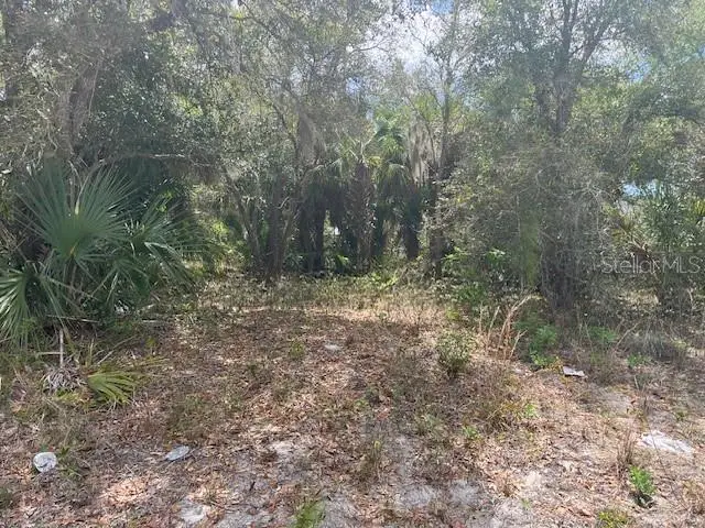 Scottish Terrace, FL