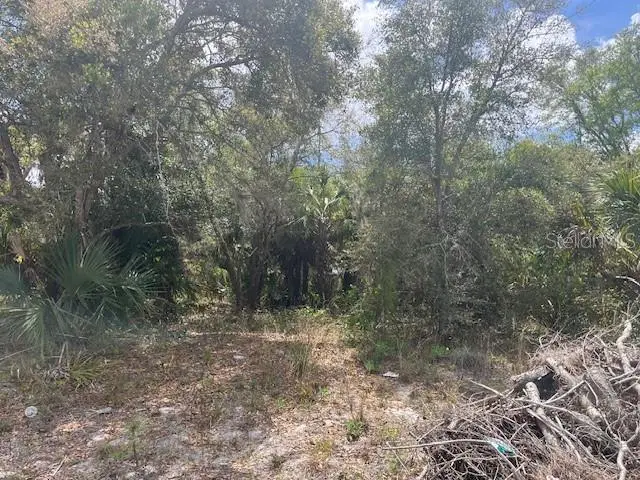 Scottish Ter, FL