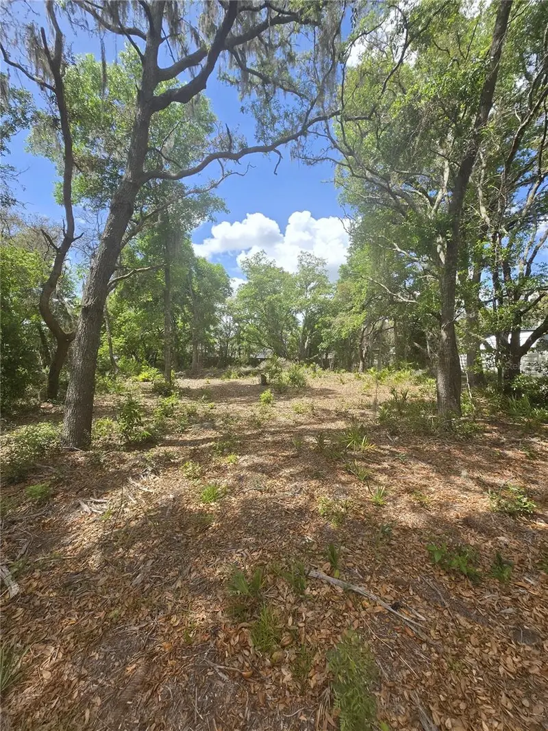 8140 Walt Williams Rd, FL
