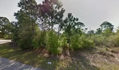 2338 Ramsey Rd Se, FL