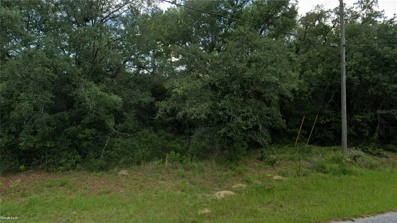 10632 N Skylark Ter, FL