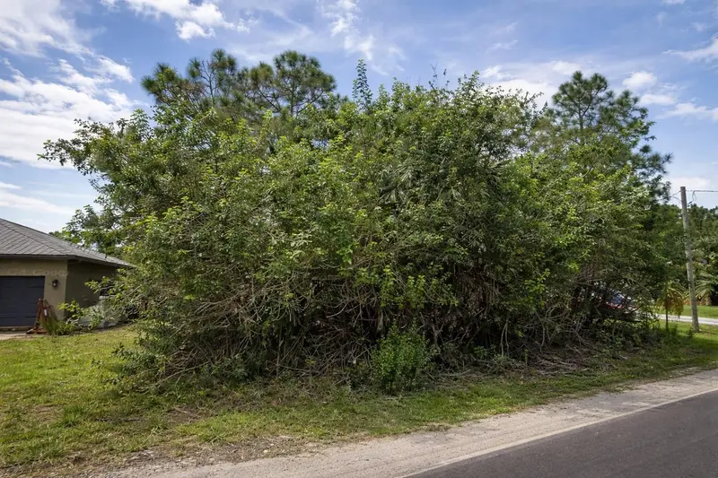3342 Fitzpatrick Ave Sw, FL
