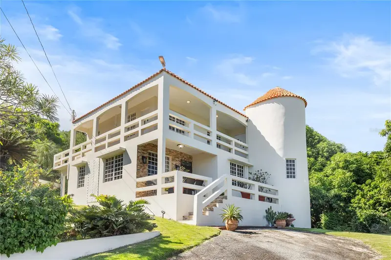 39 Bo. Camino Nuevo, PR