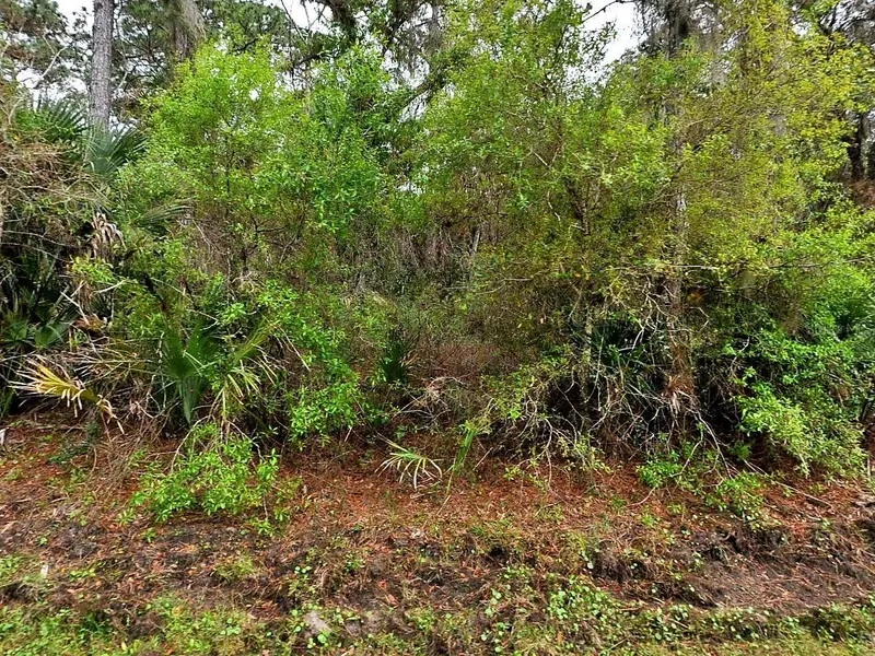 Hurdle Rd., FL