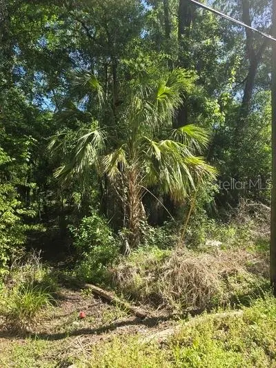 0 Fort Dade Ave, FL