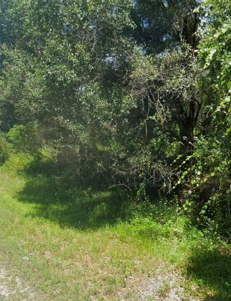 Bangar Ln, FL