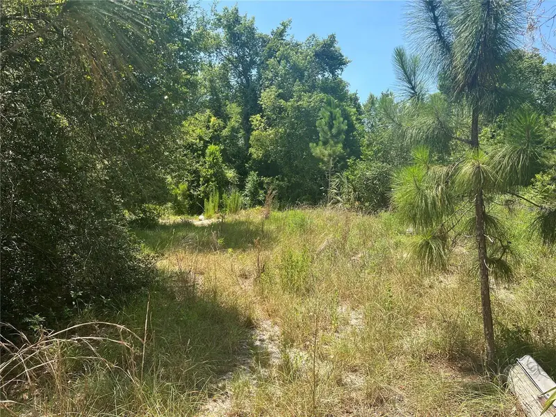 40314 Lime St, FL