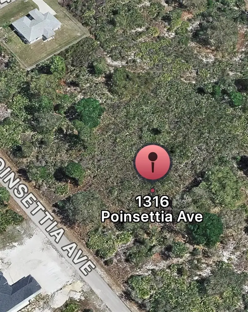 1316 Poinsettia Ave, FL