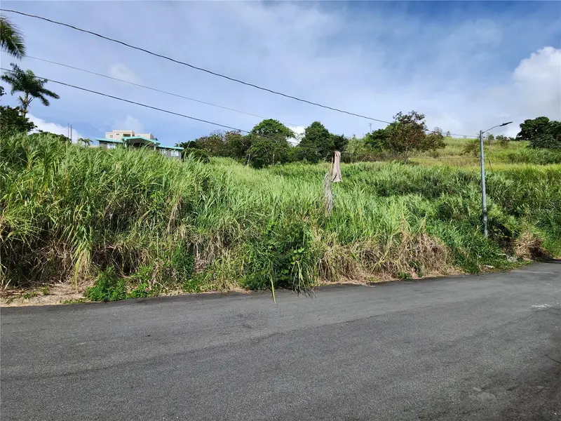 Urb Valle Imperio Lote 5, PR