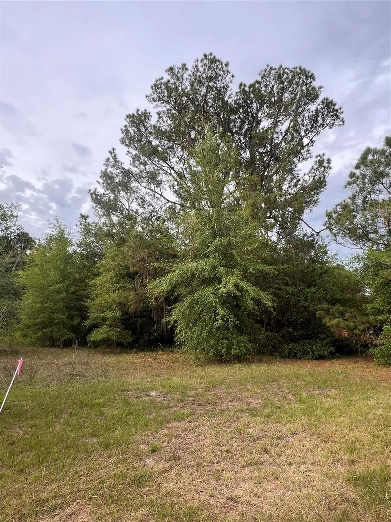Avenue G, FL