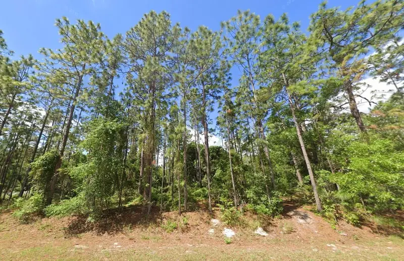 2020 Cr 243 B, FL