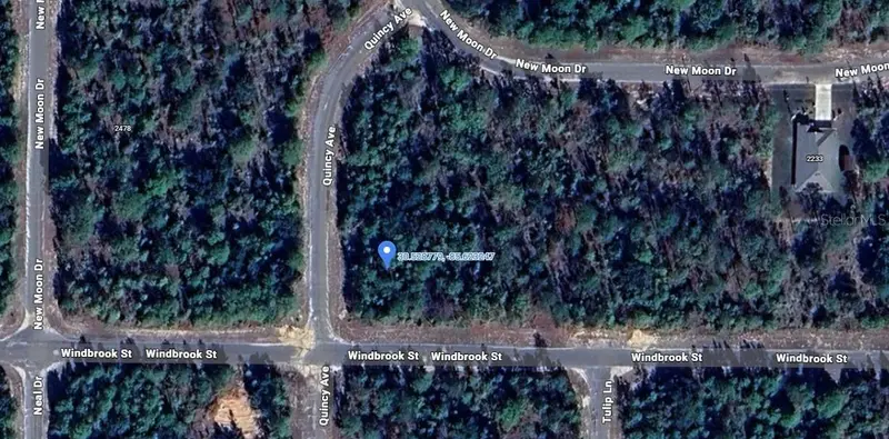 Windbrook St, FL