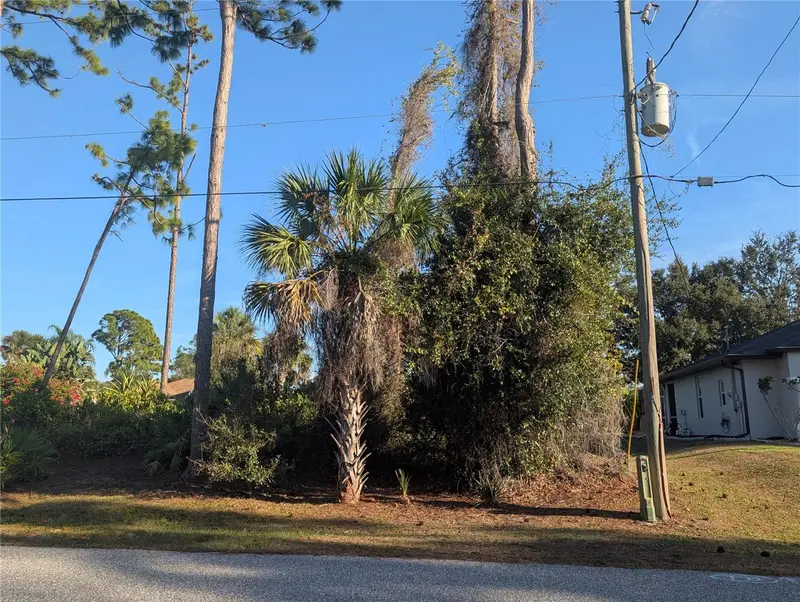 Tbd Branham St, FL