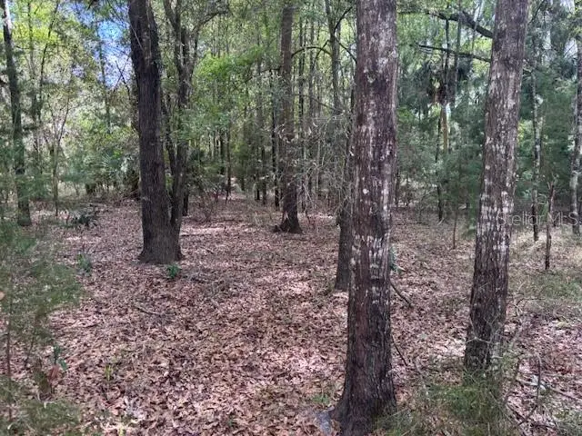 1.77 Acres Nw 73 St, FL