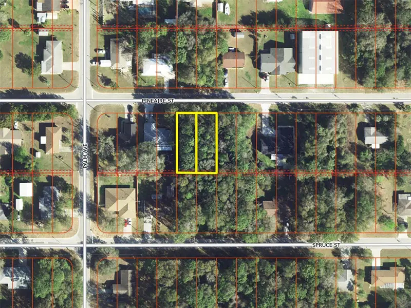 801 Pineaire St, FL