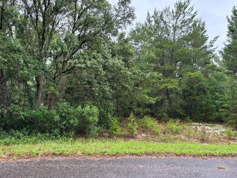 16 Fisher Court Way, FL