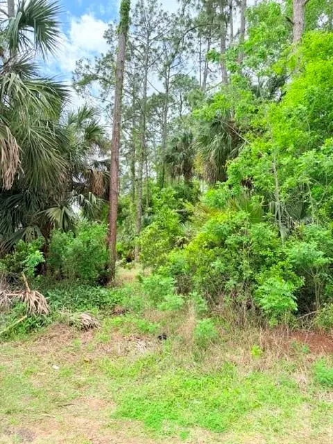 39 Braddock Ln, FL