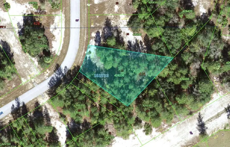 1318 Homosassa Dr, FL