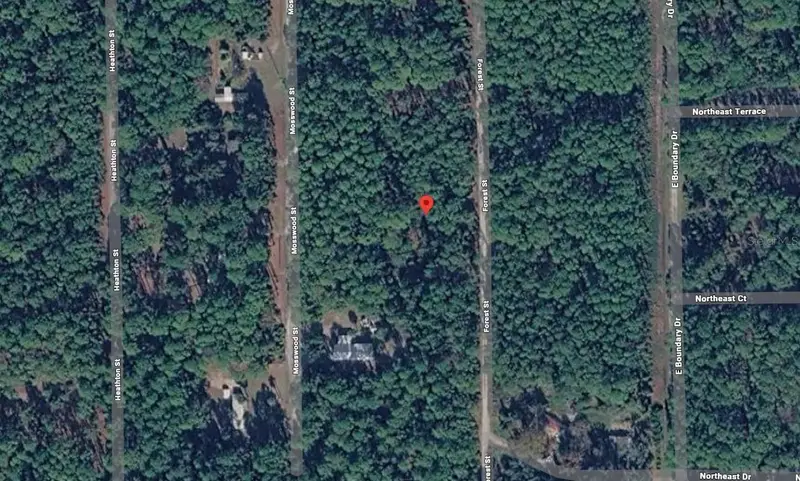 143 Forest St, FL