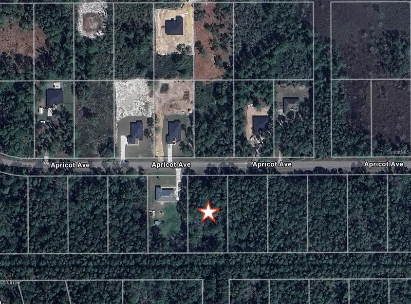 Apricot Ave, FL