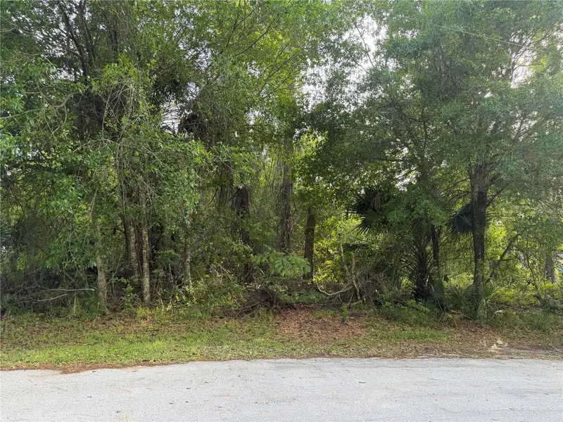 11 Patrick Pl, FL