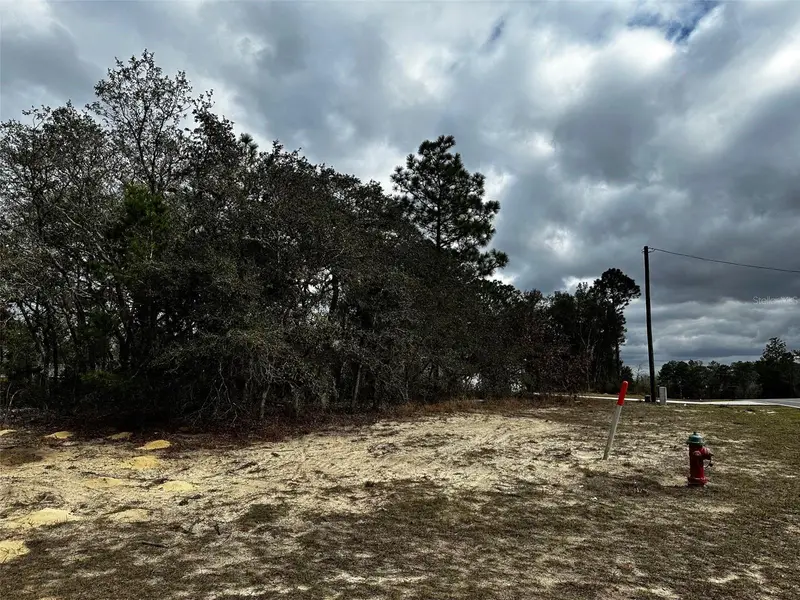 Marion Oaks Mnr, FL