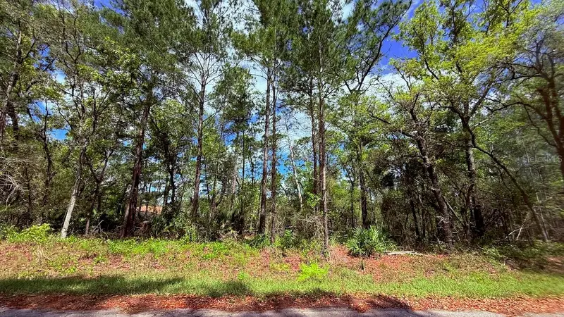 Lot 15 Bay Ct, FL